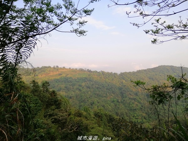 IMG_20210410_172304.jpg IMG_20210410_172304.jpg