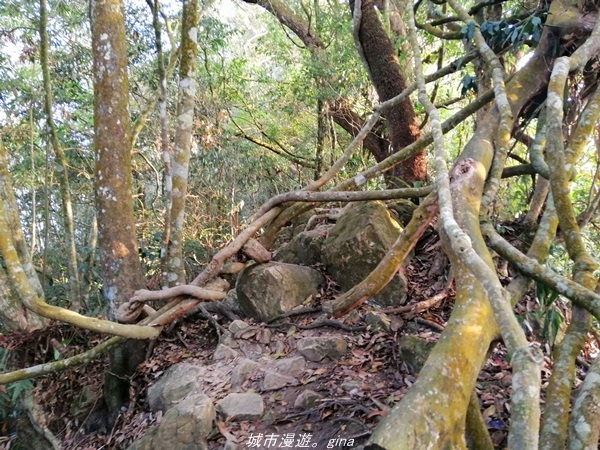 IMG_20210410_170536.jpg IMG_20210410_170536.jpg