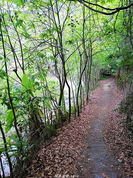 【南投國姓】步道有些荒涼感。小百岳集起來。 No47小百岳~