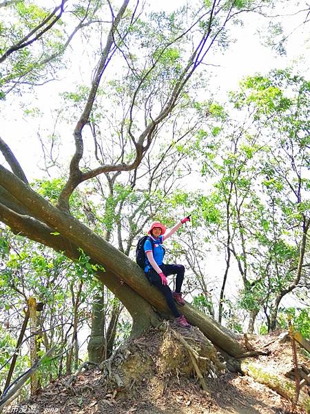 【台中北屯】山頂視野佳。 No42小百岳~南觀音山