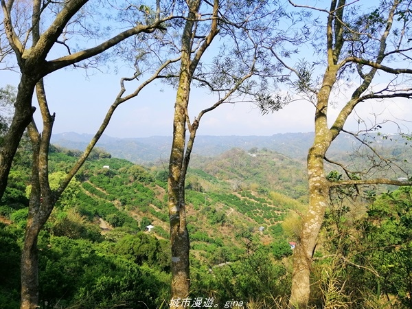 IMG_20210411_144630.jpg IMG_20210411_144630.jpg