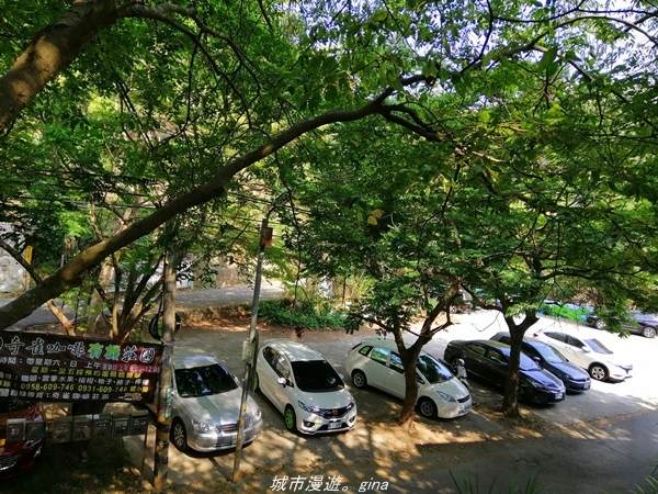 IMG_20210411_144705.jpg IMG_20210411_144705.jpg