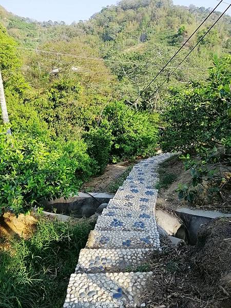 IMG_20210411_144706.jpg IMG_20210411_144706.jpg