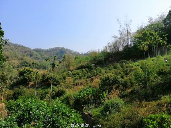 IMG_20210411_145049.jpg IMG_20210411_145049.jpg