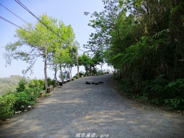 IMG_20210411_145527.jpg IMG_20210411_145527.jpg