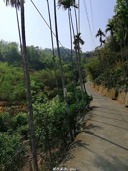 IMG_20210411_145054.jpg IMG_20210411_145054.jpg