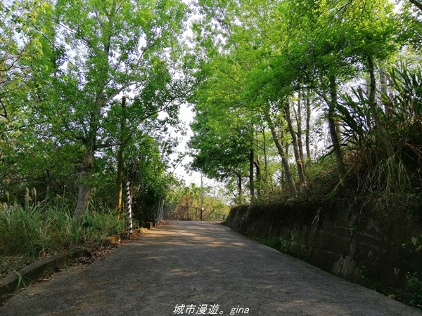 IMG_20210411_150011.jpg IMG_20210411_150011.jpg