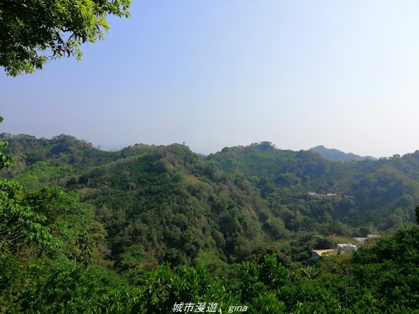 IMG_20210411_150631.jpg IMG_20210411_150631.jpg