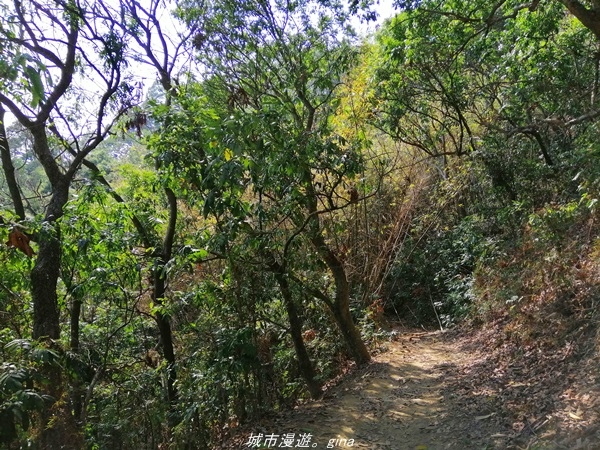 IMG_20210411_150346.jpg IMG_20210411_150346.jpg