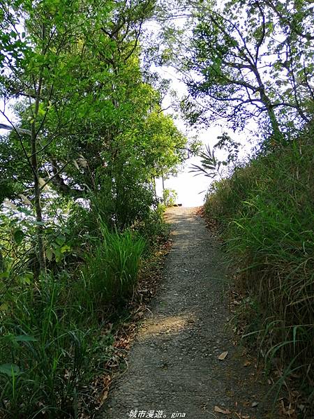 IMG_20210411_150558.jpg IMG_20210411_150558.jpg