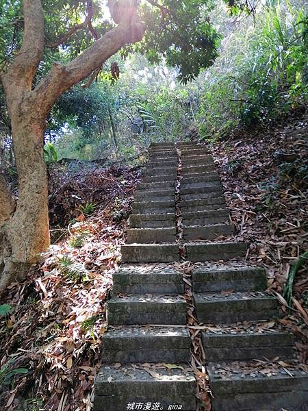 IMG_20210411_150452.jpg IMG_20210411_150452.jpg