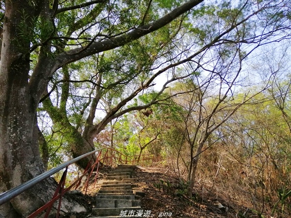 IMG_20210411_150914.jpg IMG_20210411_150914.jpg