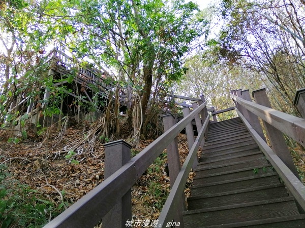 IMG_20210411_151310.jpg IMG_20210411_151310.jpg