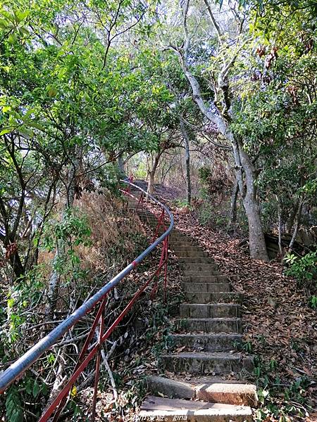 IMG_20210411_150802.jpg IMG_20210411_150802.jpg