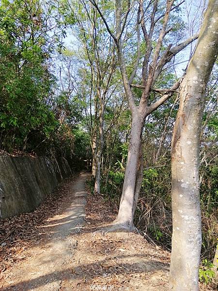 IMG_20210411_151044.jpg IMG_20210411_151044.jpg