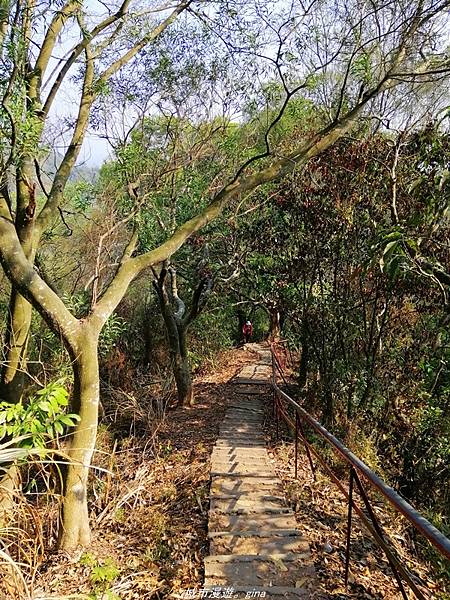 IMG_20210411_151040.jpg IMG_20210411_151040.jpg