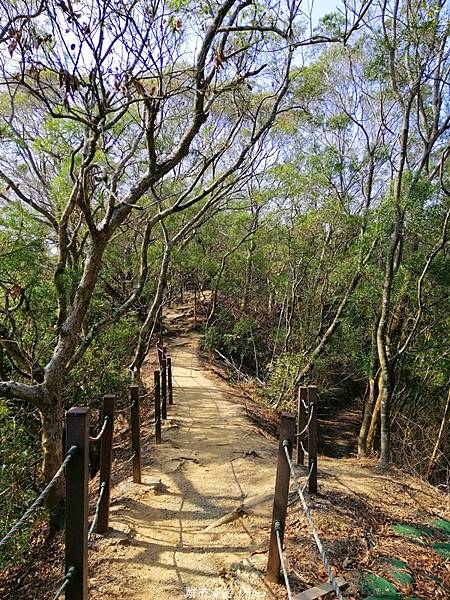 IMG_20210411_151811.jpg IMG_20210411_151811.jpg