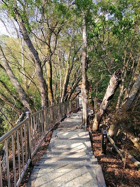 IMG_20210411_152003.jpg IMG_20210411_152003.jpg