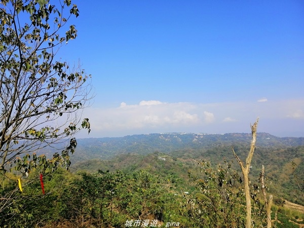 IMG_20210411_153042.jpg IMG_20210411_153042.jpg