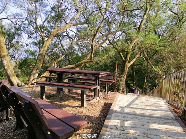 IMG_20210411_152138.jpg IMG_20210411_152138.jpg