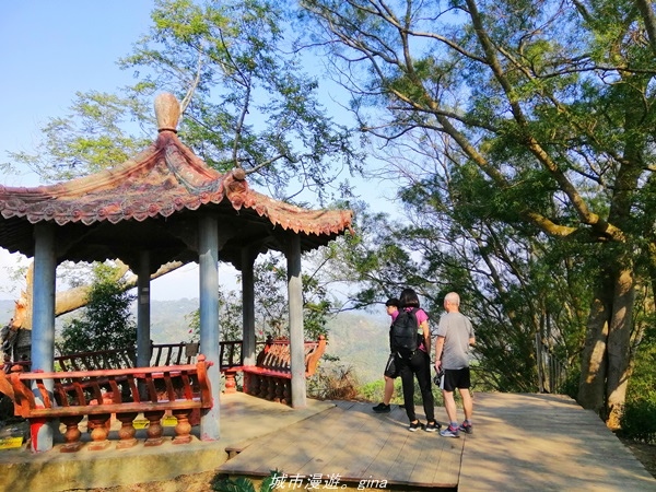 IMG_20210411_155103.jpg IMG_20210411_155103.jpg