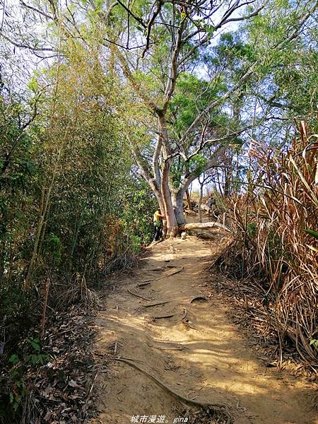 IMG_20210411_152658.jpg IMG_20210411_152658.jpg