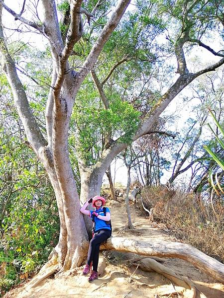 【台中潭子】清悠山林。 No40小百岳~聚興山