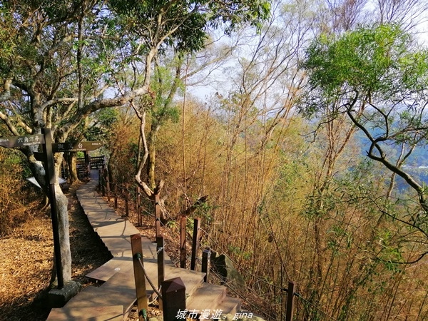 IMG_20210411_160818.jpg IMG_20210411_160818.jpg