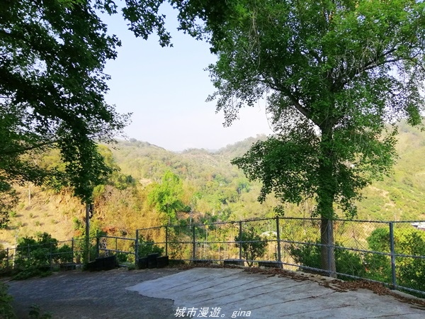 IMG_20210411_162019.jpg IMG_20210411_162019.jpg