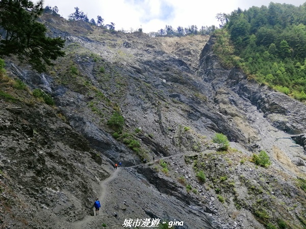 IMG_20210415_220705.jpg IMG_20210415_220705.jpg