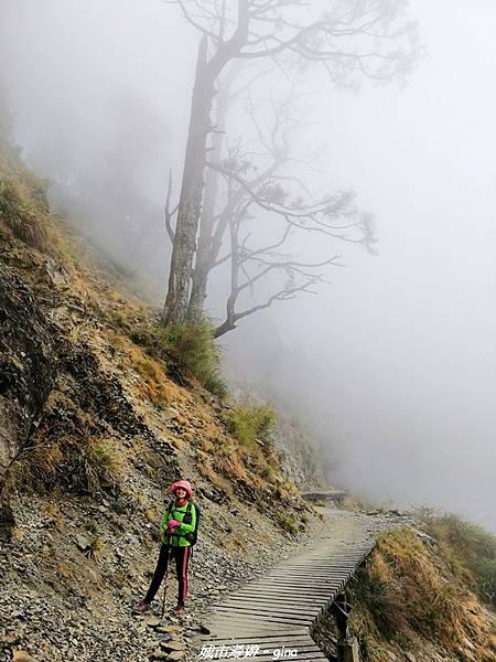 IMG_20210415_220703.jpg IMG_20210415_220703.jpg