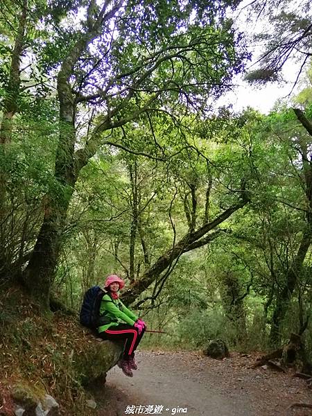 IMG_20210415_220706.jpg IMG_20210415_220706.jpg