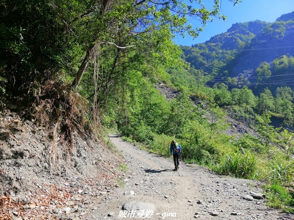 IMG_20210420_083957.jpg IMG_20210420_083957.jpg