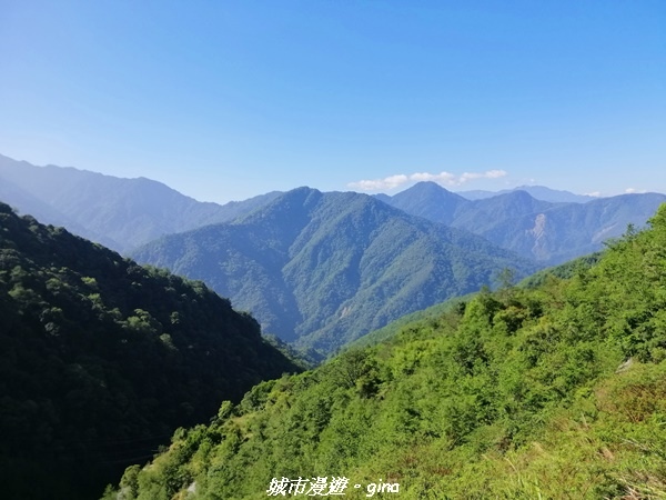 IMG_20210420_084342.jpg IMG_20210420_084342.jpg