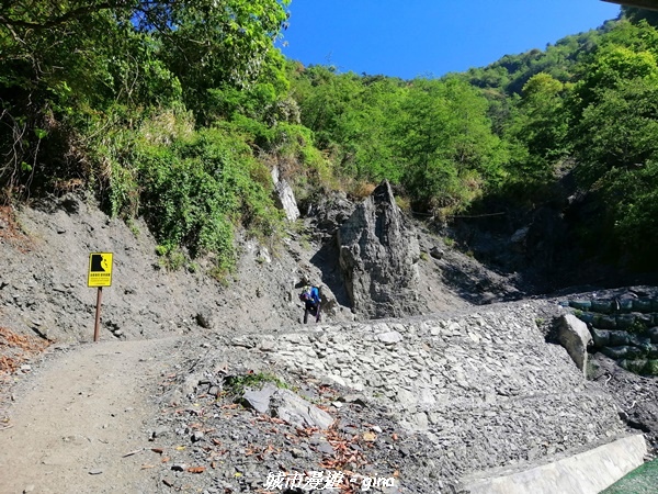 IMG_20210420_084758.jpg IMG_20210420_084758.jpg