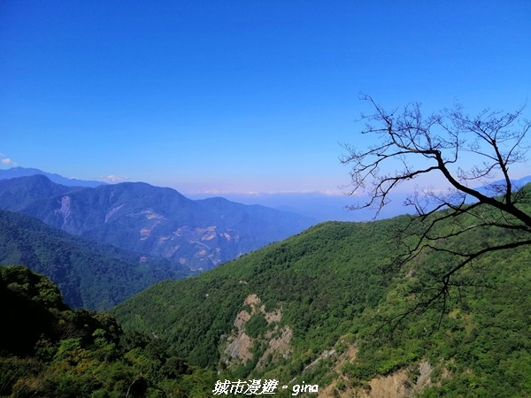 IMG_20210420_090626.jpg IMG_20210420_090626.jpg