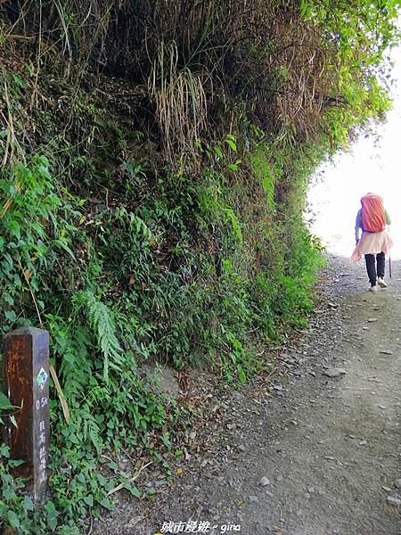 IMG_20210420_085324.jpg IMG_20210420_085324.jpg