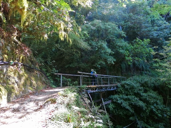 IMG_20210420_091410.jpg IMG_20210420_091410.jpg