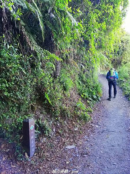 IMG_20210420_090229.jpg IMG_20210420_090229.jpg