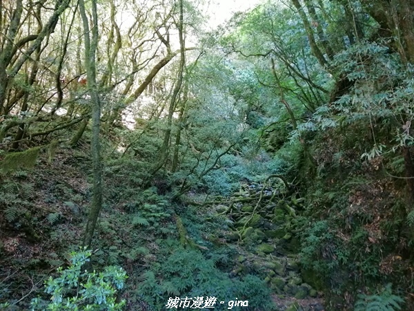 IMG_20210420_091435.jpg IMG_20210420_091435.jpg