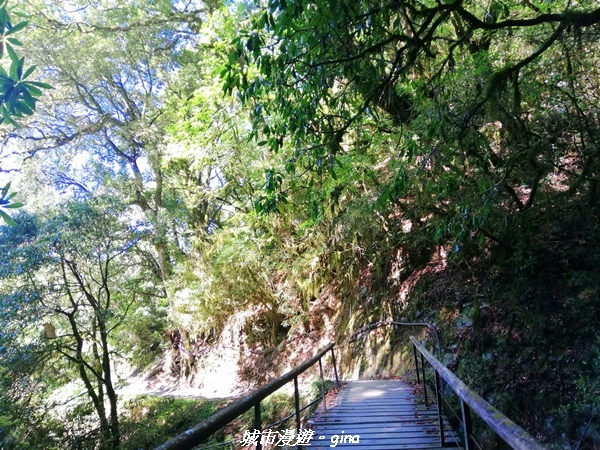 IMG_20210420_091512.jpg IMG_20210420_091512.jpg