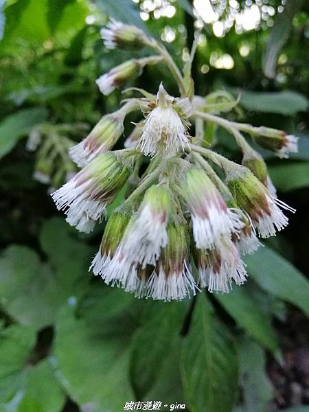 IMG_20210420_092312.jpg IMG_20210420_092312.jpg