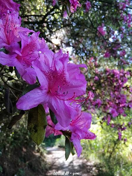 IMG_20210420_092134.jpg IMG_20210420_092134.jpg