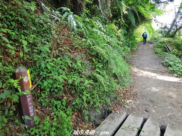 IMG_20210420_091715.jpg IMG_20210420_091715.jpg