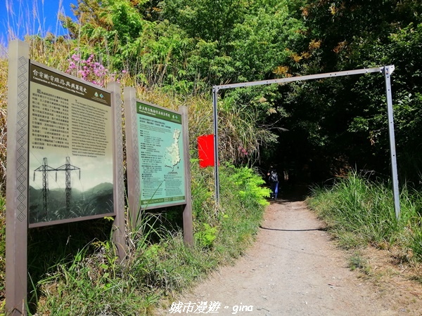 IMG_20210420_093328.jpg IMG_20210420_093328.jpg