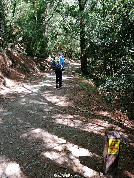 IMG_20210420_093047.jpg IMG_20210420_093047.jpg