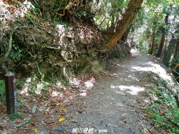 IMG_20210420_094243.jpg IMG_20210420_094243.jpg