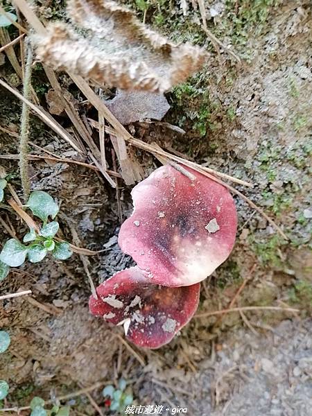 IMG_20210420_093748.jpg IMG_20210420_093748.jpg