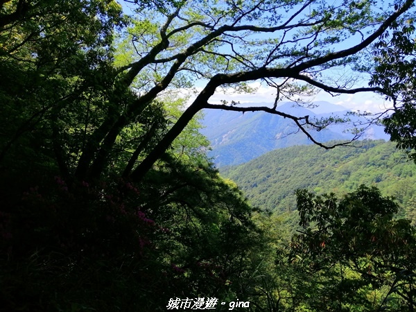 IMG_20210420_100153.jpg IMG_20210420_100153.jpg