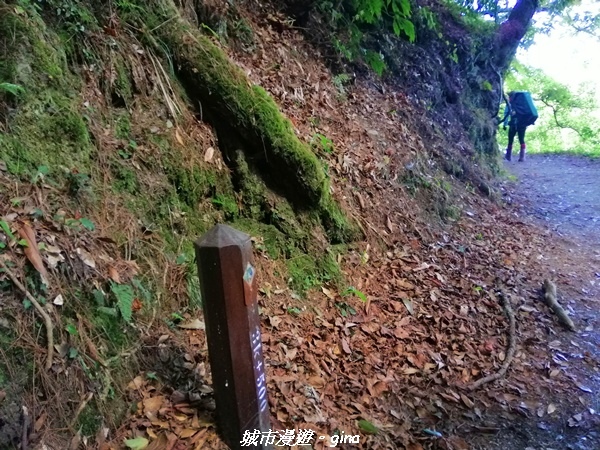 IMG_20210420_100712.jpg IMG_20210420_100712.jpg